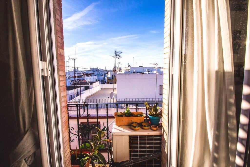 Alameda De Hercules - Peral